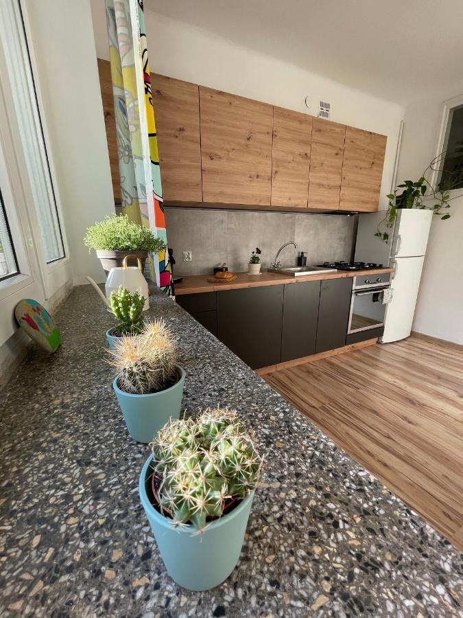 Old Town Nest Apartment Krakow Ngoại thất bức ảnh